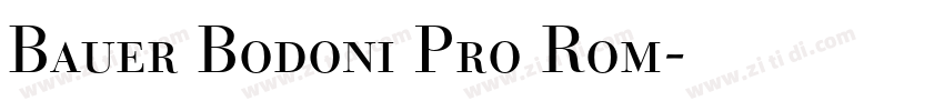 Bauer Bodoni Pro Rom字体转换